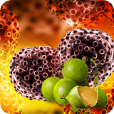 Tratamiento del cáncer con fruta de Huaya icône