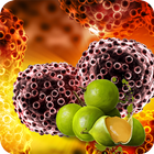 آیکون‌ Tratamiento del cáncer con fruta de Huaya