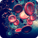 Sida síntomas tratamiento y prevención