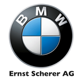 BMW Scherer icône