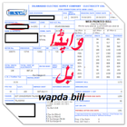 Wapda Electricity Bill Check simgesi