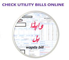 Wapda Electricity Bill Check Affiche