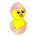 Laying Eggs