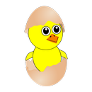 APK Laying Eggs