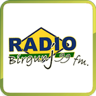 Icona Radio Birgunj