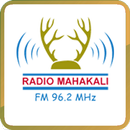 Radio Mahakali APK
