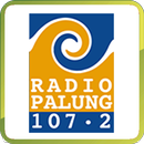 Radio Palung APK