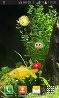 Fish Pool LWP постер