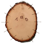 Wood Clock icon