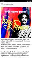 সিন্ধু-হিন্দোল - কাজী নজরুল poster