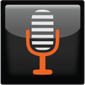 Voice Reminder