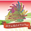 Feria Zongolica 2014 APK