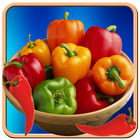 Hidden Objects Puzzle icon
