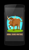Animal Sounds & RingTones Affiche