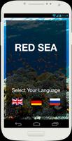 Discover Red Sea الملصق