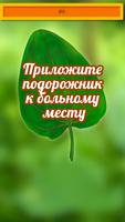 Подорожник ảnh chụp màn hình 3
