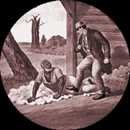 History of Slavery in America APK