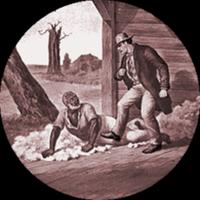 History of Slavery in America Cartaz
