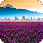 Valley Flower Live Wallpaper icon