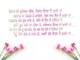 Punjabi Shayari Wallpaper 2018 ภาพหน้าจอ 1