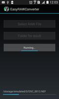 EasyRAWConverter capture d'écran 1