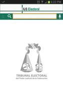 Poster IUS Electoral
