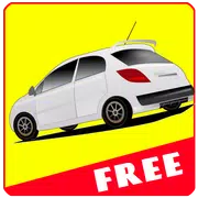 Driving Lessons