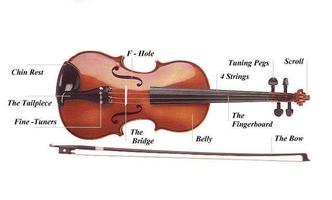 2 Schermata Lezioni di violino