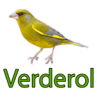 Cantes del Verderon/Verderol 2 आइकन