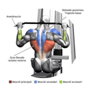 GYM Work Out Center and (Body Building) 圖標