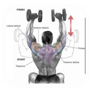 Fitnes And Body Building APK