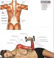 Fitnes And Body Building syot layar 3