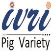 IVRI - Landlly Pig App アイコン