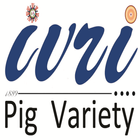 IVRI - Landlly Pig App icône