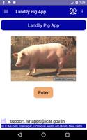 IVRI - Landlly Pig App Affiche