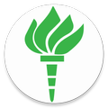 Ivyctor