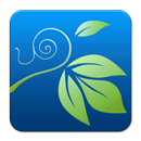 Ivy Share APK