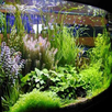 Aquarium Design APK