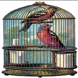 鳥かご アイコン