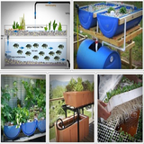 DIY aquaponics Zeichen