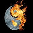 Yin yang wallpapers
