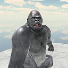 Gorilla us put a poultice icône
