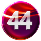 Channel44 TV Live icône