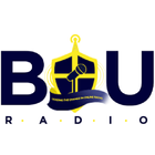 BIU Radio ícone