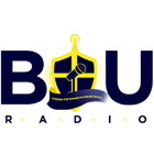 BIU Radio icon