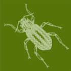 Aqua Bugs icône