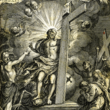 Luther-Bibel 1545 ● FREE ícone