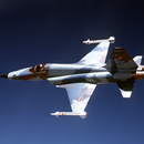 Northrop F-5 Tiger FREE-APK