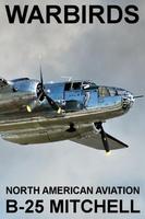 Warbirds: B-25 Mitchell-poster