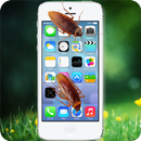 Cockroach smasher APK